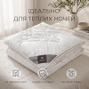 Одеяло летнее IDEIA Air Dream Classic 200×220 см, антиаллергенное, плотность 150 г/м² (8-11753*001)
