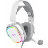 Игровые наушники с микрофоном HAVIT HV-H2035U Plug USB 7.1