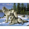 Алмазная мозаика Волки на снегу 40х50 см ColorArt SP007