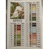 Алмазная мозаика Икона Молитва Иисуса 40х50 см ColorArt SP013