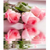 Алмазная мозаика Розы 40х50 см ColorArt SP018