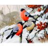 Алмазная мозаика Снегири 40х50 см ColorArt SP035