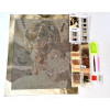 Алмазная мозаика Девочка ангелочек 40х50 см ColorArt SP048