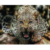 Алмазная мозаика Взгляд леопарда 40х50 см ColorArt SP052