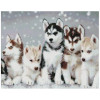 Алмазная мозаика Хаски 40х50 см ColorArt SP092