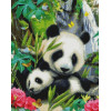 Алмазная мозаика Панды 40х50 см ColorArt SP093