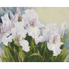 Алмазная мозаика Ирисы 40х50 см ColorArt SP104