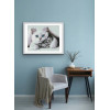 Алмазная мозаика Милые котики 40х50 см ColorArt SP105