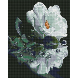 Алмазная мозаика Белая роза 40х50 см ColorArt SP123
