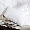 Подушка Air Dream Exclusive IDEIA 50х70 см два чехла с молнией белая (8-11586*001)