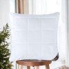 Подушка Air Dream Premium IDEIA 70х70 см с двумя чехлами на молнии (8-11634*001)