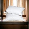 Подушка Super Soft Premium IDEIA 50х70 см два чехла с молнией аналог лебяжьего пуха (8-11637)