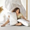 Подушка AIR DREAM CLASSIC IDEIA розы 40х60 СМ два чехла с молнией (8-11756*001)