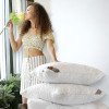 Подушка AIR DREAM CLASSIC IDEIA розы 40х60 СМ два чехла с молнией (8-11756*001)