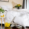 Двойное зимнее одеяло IDEIA Air Dream Exclusive 175Х210 см (8-11767)