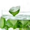 Всесезонное одеяло IDEIA Aloe Vera с пропиткой алоэ 200х220 см (8-13465)