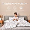 Набор из полуторного одеяла 140х210 см и подушки 50х70 см ELEGANTLY IDEIA из искусственного лебединого пуха (8-35564)