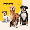 Матрас-лежанка для собак и кошек М (60×80×10 см) с подушкой, съемный чехол, серый (8-35942*001)