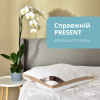 Подушка IDEIA Present 50х70 см с дышащим бортом-сеткой антиаллергенная белый/беж (8-34529*001)