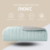 Двухстороннее покрывало Стиль Люкс IDEIA 240х260 см с антиаллергенным волокном, мята/св. серый (8-13500*007)