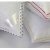 Комплект IGLEN Royal Climate 200×220 + 2×50×70, 100% серый гусиный пух (20022010GRS+2х50701GRS)