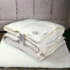 Одеяло пуховое со 100% белым пухом Royal Series Climate-comfort IGLEN 200х220 (20022010WRS)