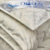 Одеяло пухо-перовое 70% пуха зимнее двуспальное IGLEN Roster 220х240 в тике (2202402)