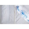 Демисезонное одеяло со 100% белым гусиным пухом двуспальное IGLEN Climate-comfort 160х215 (160215110W)