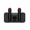 Акустическая система с караоке и 2 микрофонами HAVIT HV-SK856BT 20W RGB черная 