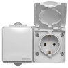 Защищенная наружная розетка с заземлением и выключатель VIDEX BINERA IP65 VF-BNW3-G серая 