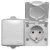 Защищенная наружная розетка с заземлением и выключатель VIDEX BINERA IP65 VF-BNW3-G серая 